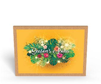 Hawaiian Holiday Glow - Hawaiian Holiday / Christmas Greeting Card Box Set