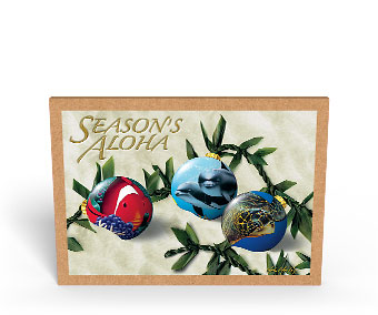 Ocean Ornaments - Hawaiian Holiday / Christmas Greeting Card Box Set