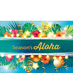 Season's Flowers - Hawaiian Holiday / Christmas Greeting Card