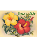 Hawaiian Hibiscus - Personalized Holiday Greeting Card