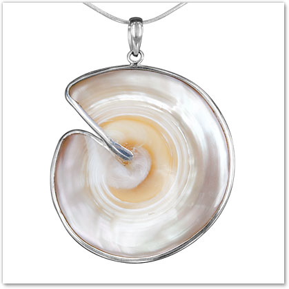 Spiral Shell Pendant - Island Jewelry