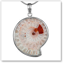 Spiral Shell Resin Jewelry - Island Jewelry