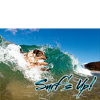Surf's Up - Hawaii Magnet