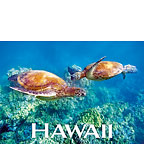 Honeymooners - Hawaii Magnet
