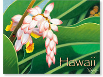 Pearly Shells - Hawaiian 'Alohi Magnet - Glitter Embellished