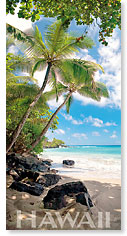 Hamoa Beach - Hawaii Panoramic Magnet