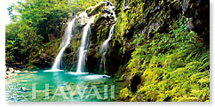 Emerald Falls - Hawaii Panoramic Magnet