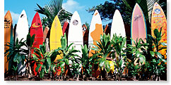 Old Surfboards Never Die - Hawaii Panoramic Magnet