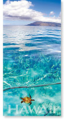 Emerald Sea - Hawaii Panoramic Magnet