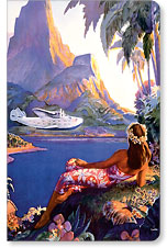 Fly to the South Seas Isles - Hawaii Mini Notebook