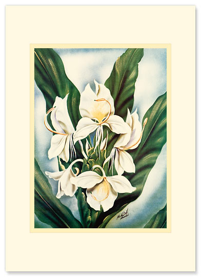 White Ginger - Personalized Vintage Collectible Greeting Card