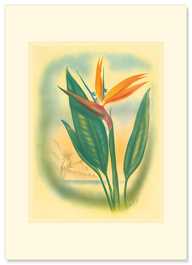 Hawaiian Bird of Paradise - Personalized Vintage Collectible Greeting Card