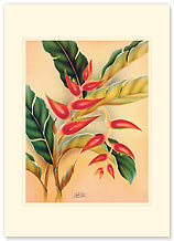 Heliconia - Hawaiian Premium Vintage Collectible Greeting Card - Get Well Card
