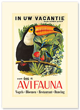 Avifauna Bird Park: Holland - Toucan - Premium Vintage Collectible Blank Greeting Card