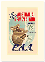 Fly to Australia and New Zealand - Koala - Premium Vintage Collectible Blank Greeting Card