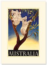 Australia Koala - Premium Vintage Collectible Blank Greeting Card