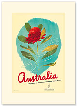 Australia Shipping & Travel - Waratah Red Flower - Premium Vintage Collectible Blank Greeting Card