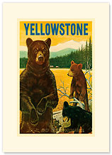 Yellowstone Go Greyhound - Bears at the Park - Premium Vintage Collectible Blank Greeting Card