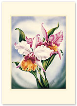 Pink Orchid - Hawaiian Premium Vintage Collectible Greeting Card - Happy Birthday Card