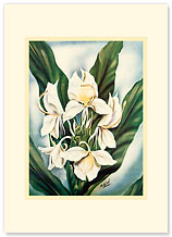 White Ginger - Personalized Vintage Collectible Greeting Card