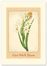 Tuberose - Hawaiian Premium Vintage Collectible Greeting Card - Get Well Card