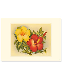 Hawaiian Hibiscus - Hawaiian Premium Vintage Collectible Greeting Card - Mahalo / Thank You Card