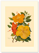 Hawaiian Hibiscus - Hawaiian Premium Vintage Collectible Greeting Card - Anniverasry Card
