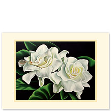 Two Gardenias - Hawaiian Premium Vintage Collectible Greeting Card - Sympathy Card