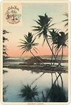 Aloha Nui Postcard - Hawaiian Vintage Postcard