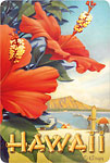 Hibiscus Beach Day - Hawaiian Vintage Postcard