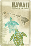 Hawaii Paradise of the Pacific - Turtles (Honu) Hawaiian Islands - Hawaiian Vintage Postcard