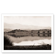 Laguna Blanca Lake, Santa Barbara - Hope Ranch, California 1906 - Fine Art Black & White Carbon Prints