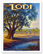 Lodi Wineries - Valley Oak (Quercus lobata) - Giclée Art Prints & Posters