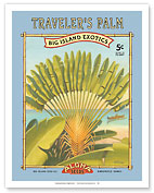 Traveler's Palm - Aloha Seeds - Big Island Seed Company - Big Island Exotics - Fine Art Prints & Posters