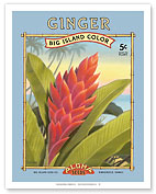 Ginger - Aloha Seeds - Big Island Seed Company - Big Island Color - Giclée Art Prints & Posters