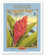 Ginger - Aloha Seeds - Big Island Seed Company - Big Island Color - Fine Art Prints & Posters