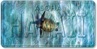 Honu Infinity - Hawaiian Vintage License Plate