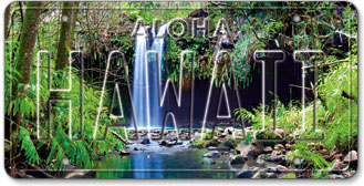 Twin Falls - Hawaiian Vintage License Plate