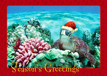 Holiday Honu - Personalized Holiday Greeting Card