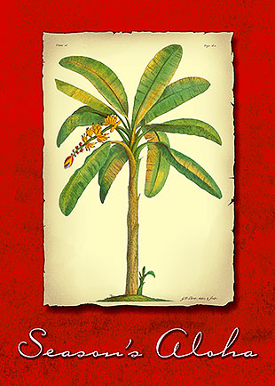 Banana Plant - Personalized Holiday Greeting Card