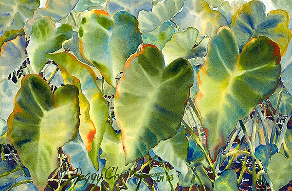 Na Kalo - Artists Showcase - Limited Edition Giclee Art Prints by Peggy Chun