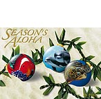 Ocean Ornaments - Hawaiian Holiday / Christmas Greeting Card