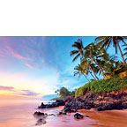 Tropical Shores - Hawaiian Everyday Blank Greeting Card