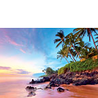 Tropical Shores - Hawaiian Everyday Blank Greeting Card