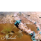 Fragrant Memories - Hawaiian Mahalo / Thank You Greeting Card