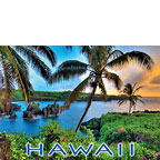 Where Da Coconuts Grow - Hawaii Magnet