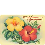 Hawaiian Hibiscus - Hawaiian Vintage Postcard