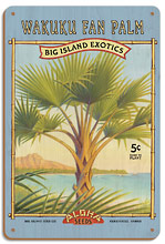 Wakuku Fan Palm - Aloha Seeds - Big Island Seed Company - Big Island Exotics - Wood Sign Art