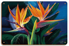 Birds of Feather - Hawaiian Birds of Paradise - Wood Sign Art